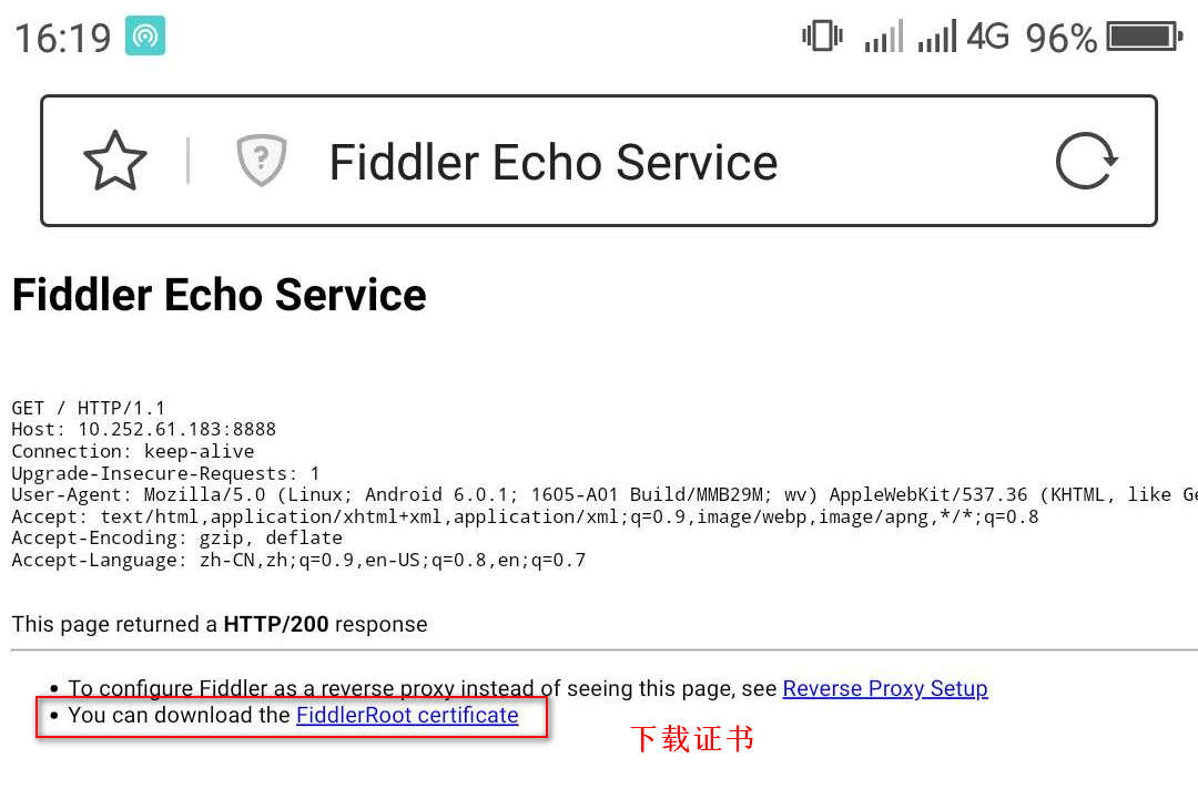 Fiddler